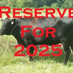 2025 Reservations